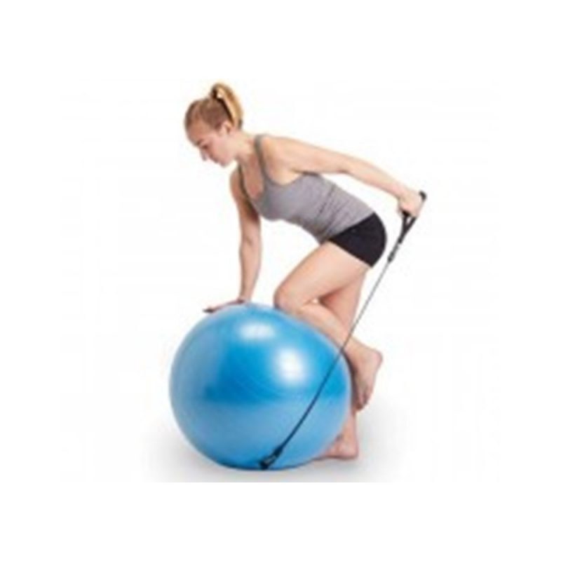 120-medium-gym-ball-with-handles-65-cm-800x800-3376747