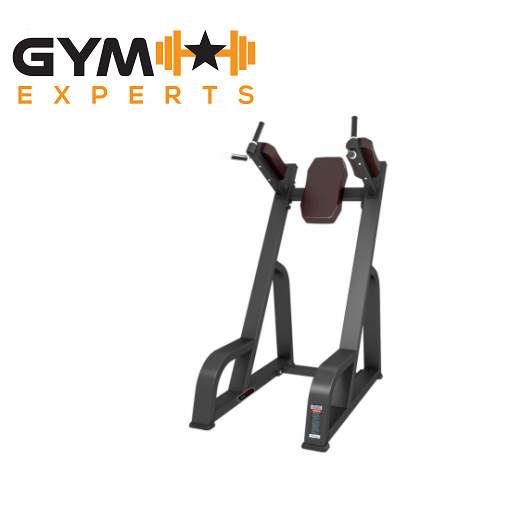 gym-experts-vertical-knee-up_dip-lifetrac-pro-series-20220824093538-9171343