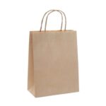 brown paper carry bag 1