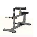 seated calf raise